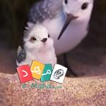 انیمیشن piper