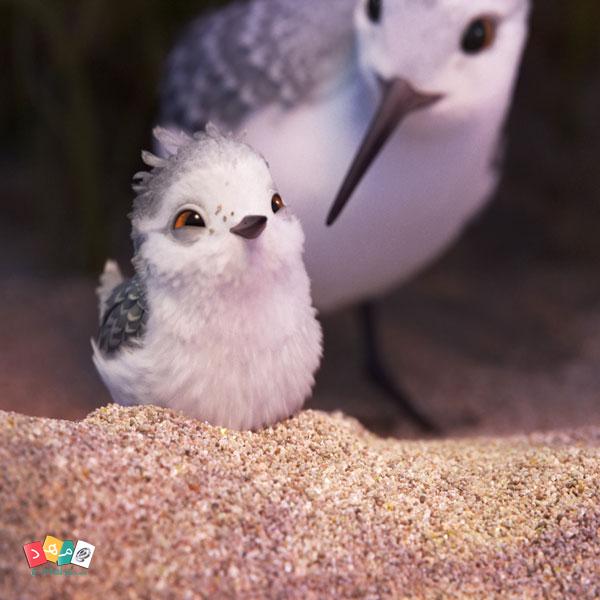 انیمیشن piper