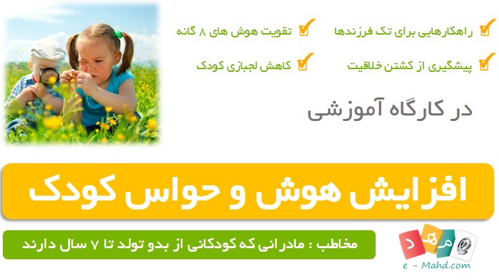 کارگاه هوش کودک کارگاه هوش کودک